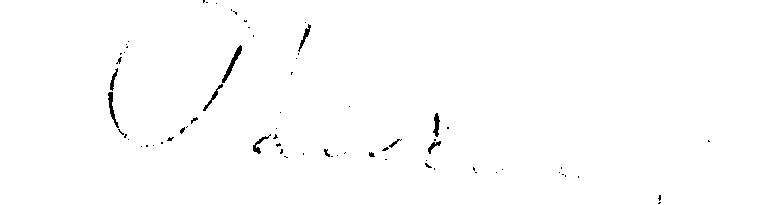 o0017_01.jpg