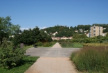 DSC07114.jpg