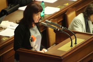 IMG_3984.JPG (Dokument, 253&nbsp;KB)