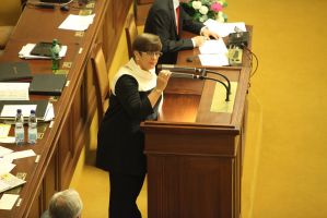 IMG_0586.JPG (Dokument, 250&nbsp;KB)