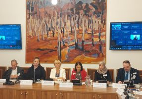 20&nbsp;M-POHL&nbsp;Meeting&nbsp;panel&nbsp;discussion.jpg (Dokument, 1&nbsp;MB)