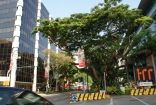 DSC06348.jpg