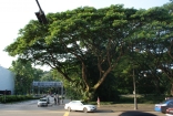 DSC06352.jpg