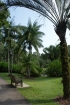 DSC06378.jpg
