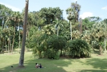 DSC06383.jpg